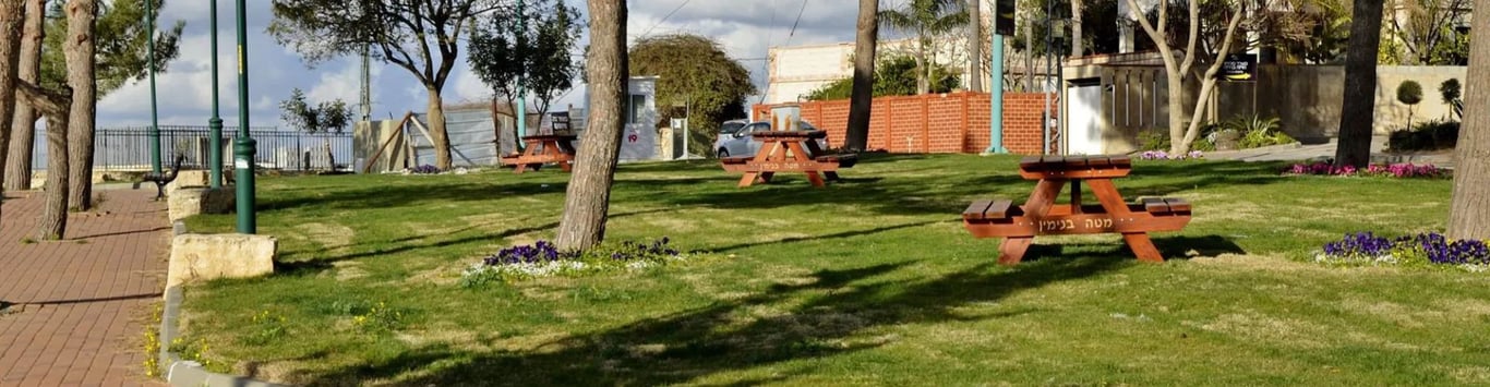 Description of the image